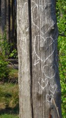 Wellness-Wanderung5.jpg